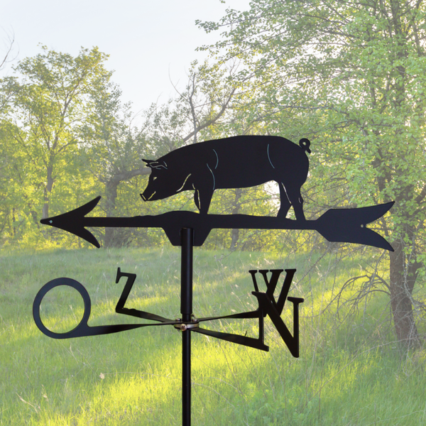 Windwijzer Varken
