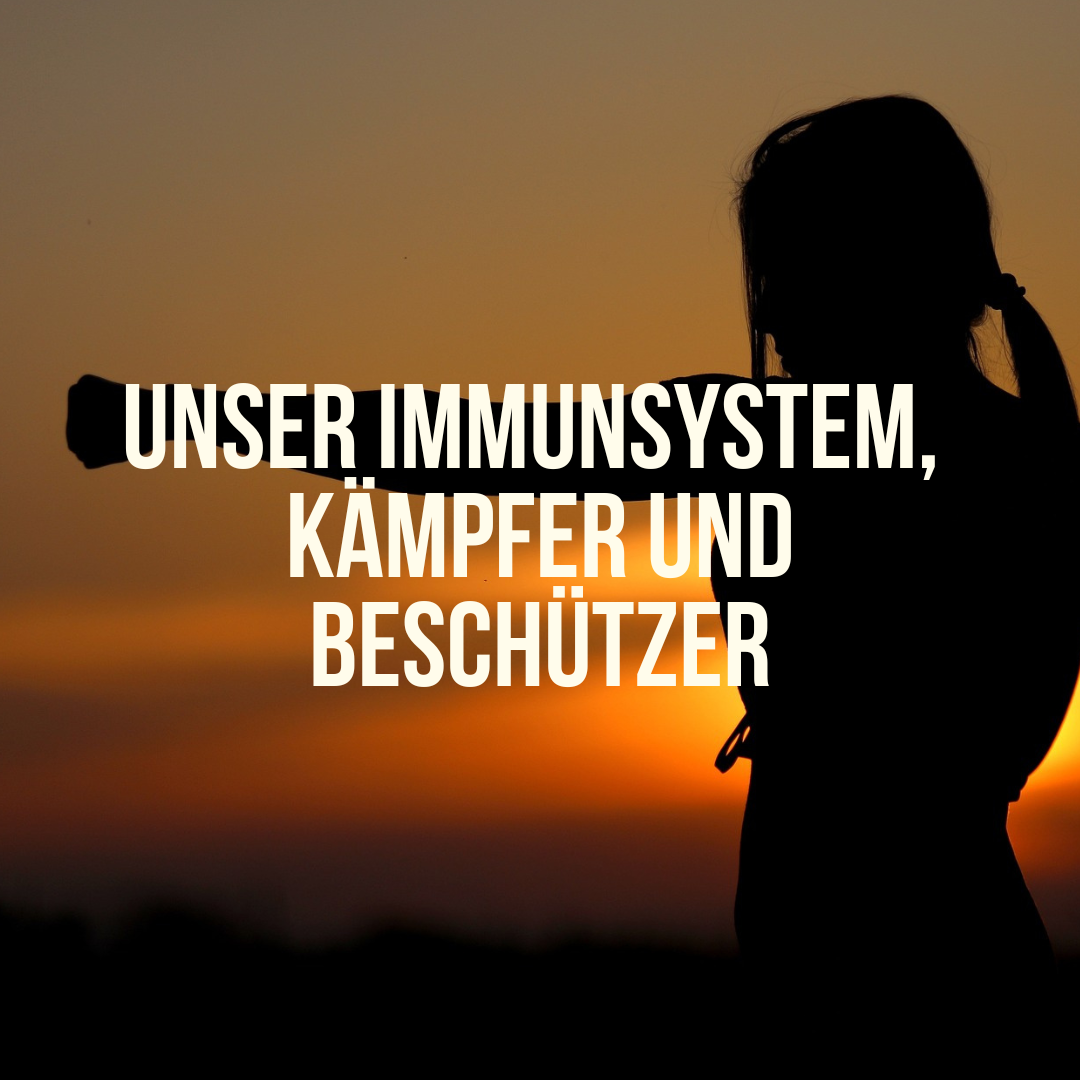 Unser Immunsystem, Kämpfer und Beschützer Hochleistung für unser Immunsystem
