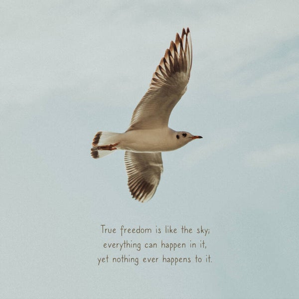 Karte | Freedom