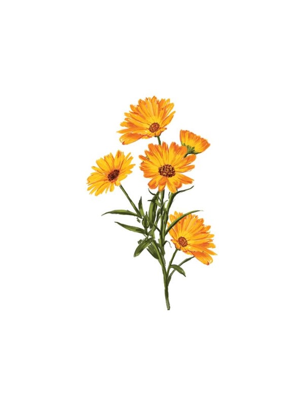 Zonnebloemen (9x12)