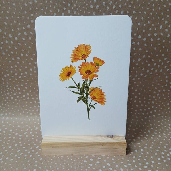 Zonnebloemen