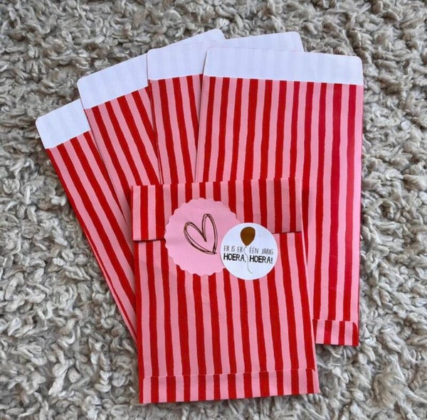 Cadeauzakjes (12x19cm) - roze/rood