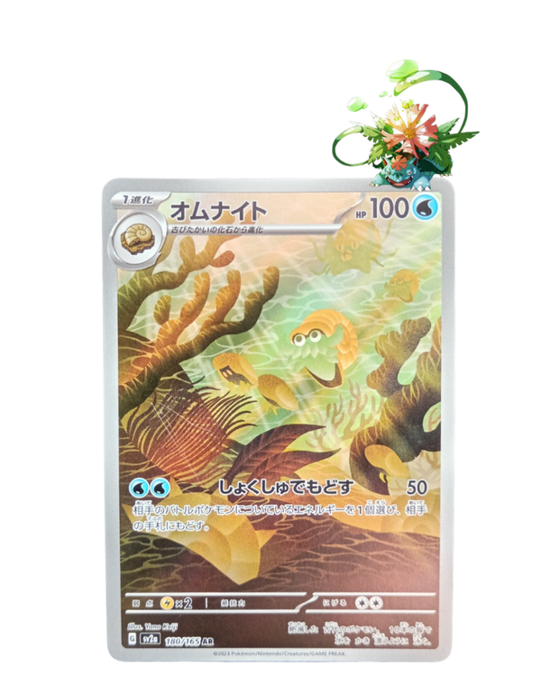 Omanyte