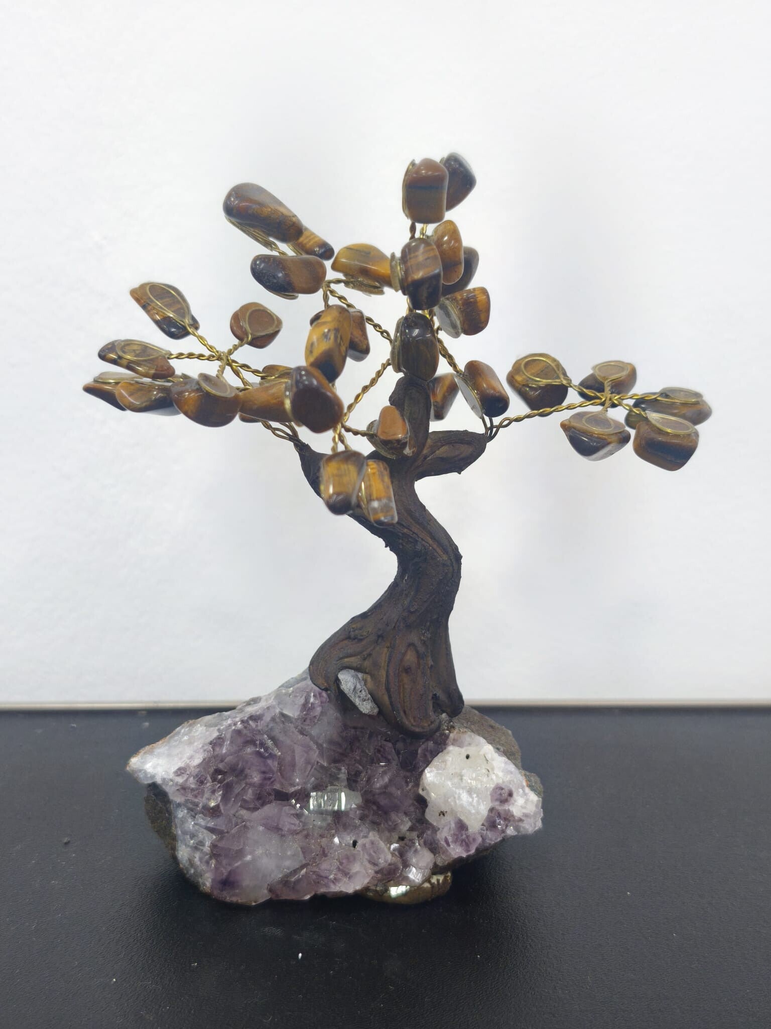 ARBOL DE OJO DE TIGRE