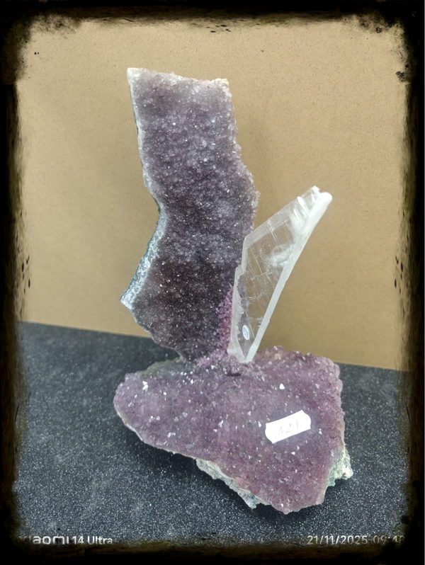 AMATISTA EN FLOR CON MINERAL DE YESO