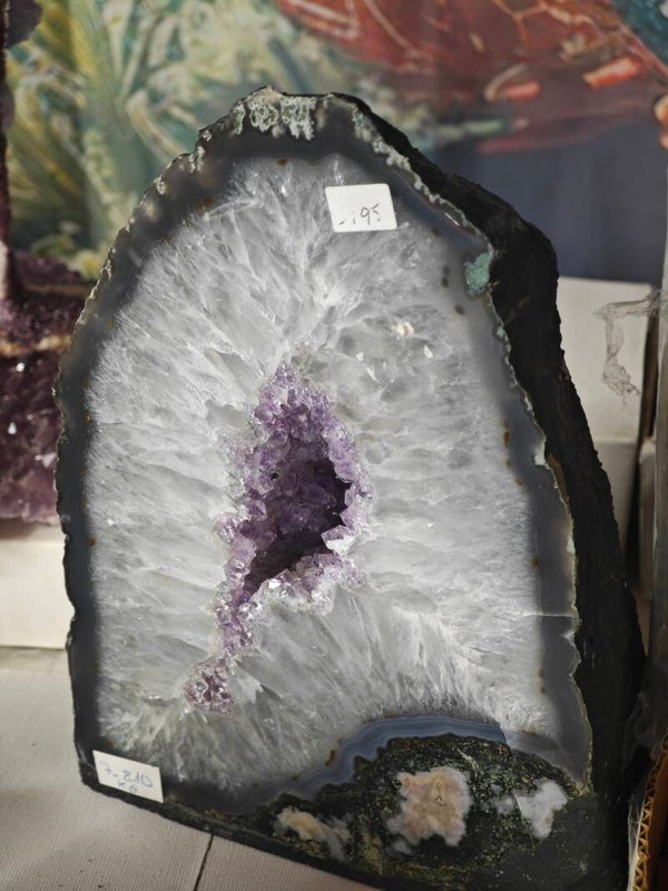 GEODA AMATISTA AGATA