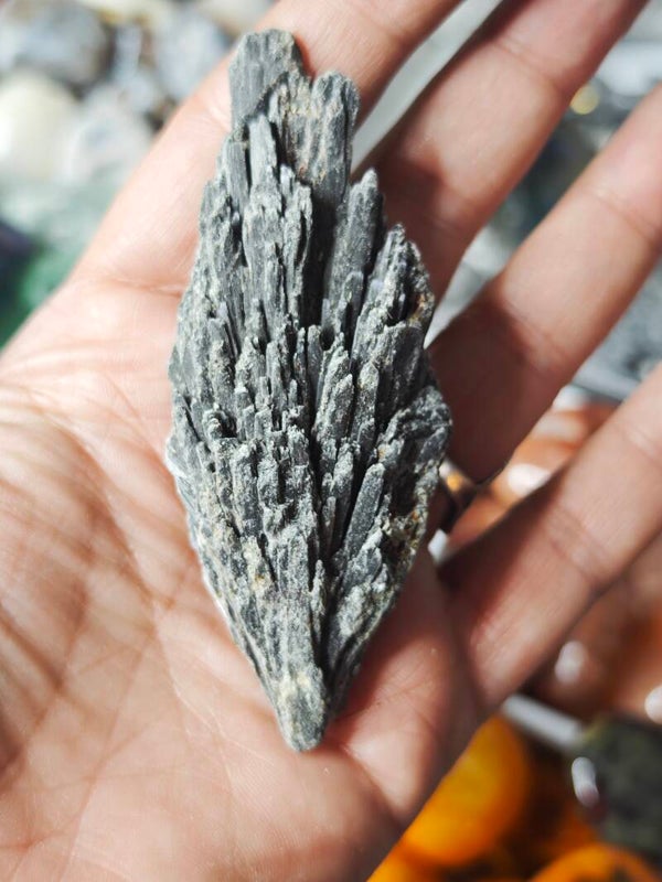 TARAMITA ESCÑOBA DE BRUJA