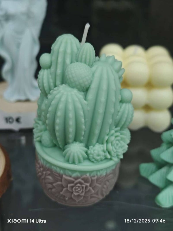 VELA PLANTA CAPTUS AROMATICA 10 CM