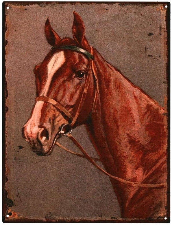 Wandplaat | Paard | Metaal | 25x33cm