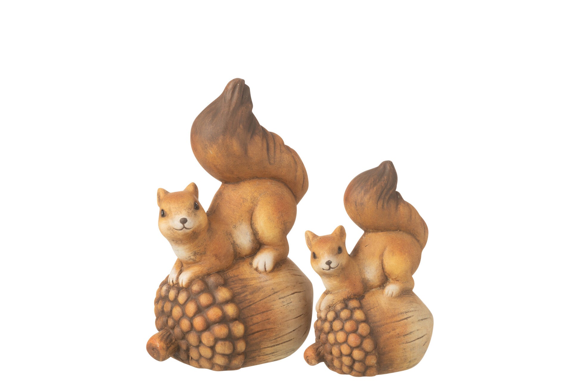 Beeld | Eekhoorn | Eikel | J-line | 2 afmetingen