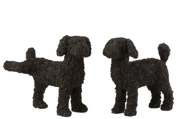 Beeld | Hond | Labradoodle | Zwart | J-line | 21cm x 12cm x 21cm | 2 varianten