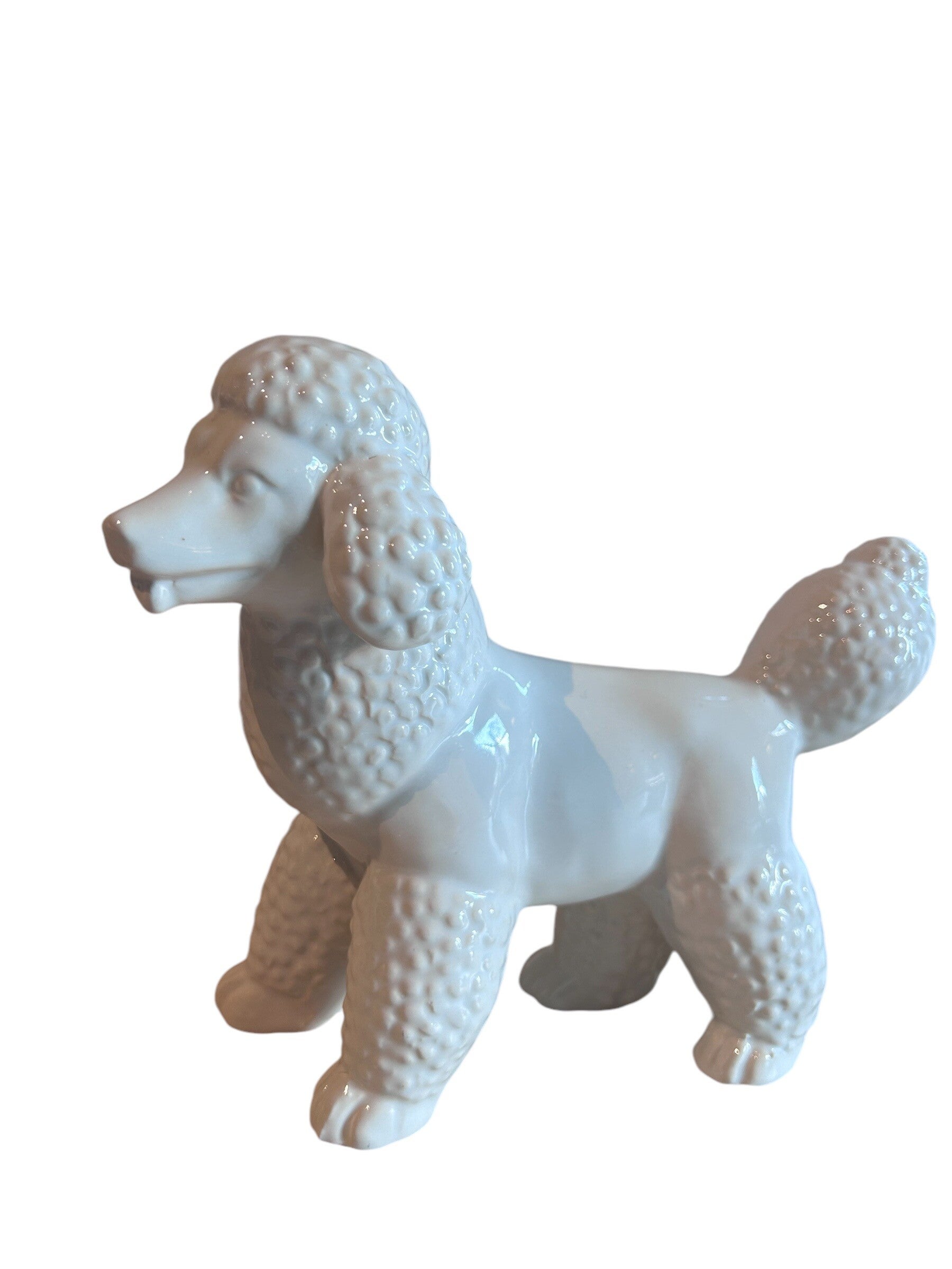 Beeld | Hond | Poedel | Wit | Keramiek | 21x8x18cm