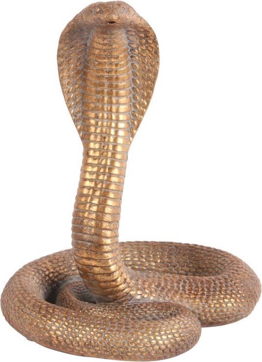 Beeld | Slang | Cobra | Goud | 20x23x29cm