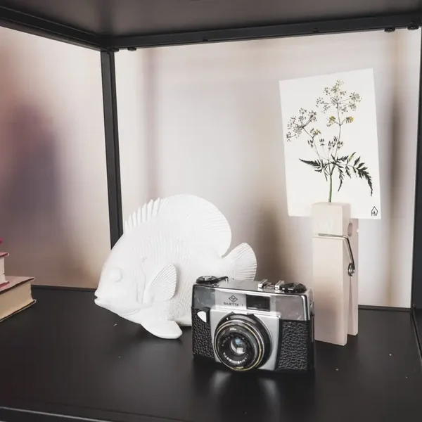 Minimalistische Vis Beeld – Strakke Woondecoratie