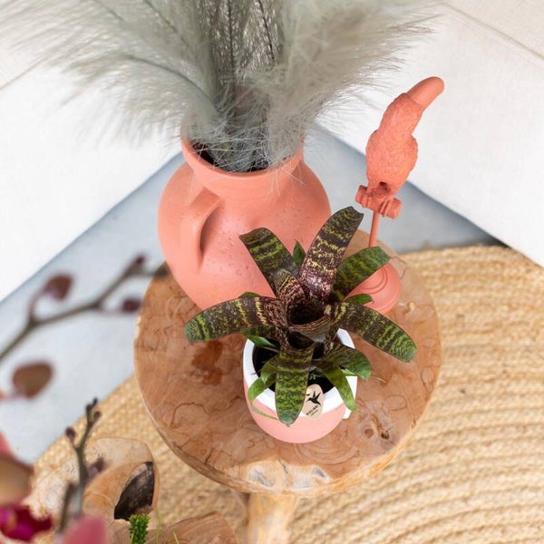 Beeld | Ornament | Toekan | Terracotta | Polystone | 8x8x30cm