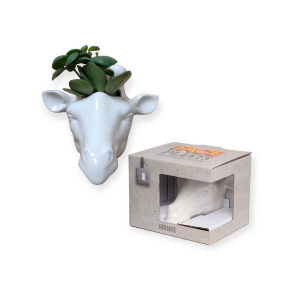 Wandbloempot giraffe kop