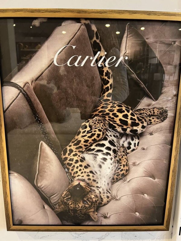 Glasschilderij | Fotolijst | Luipaard | Panter | Cartier | Goud | Glas | Messing | 52x42cm