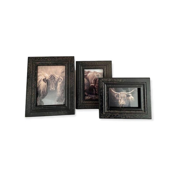 Fotolijst Schotse Hooglander craquelé