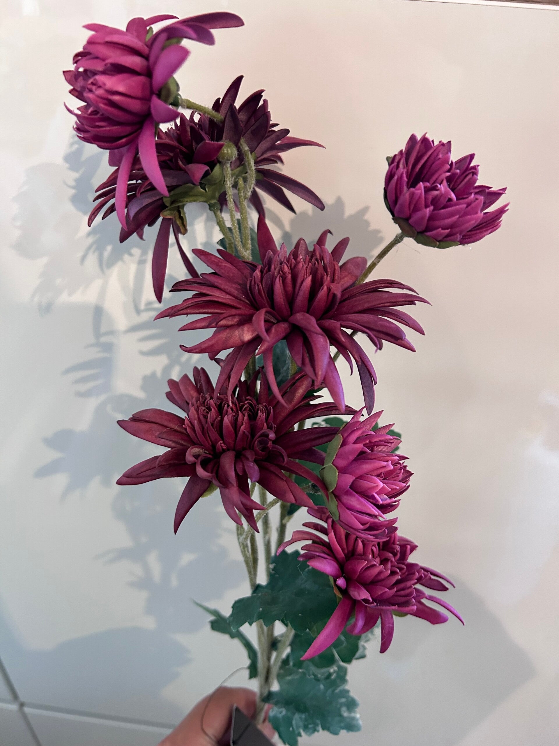 Zijdenbloem Colmore roodpaarse chrysanten (74cm)