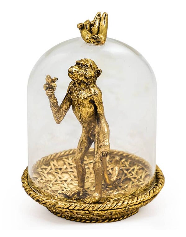 Golden Hungry Monkey – Aap onder Glazen Koepel