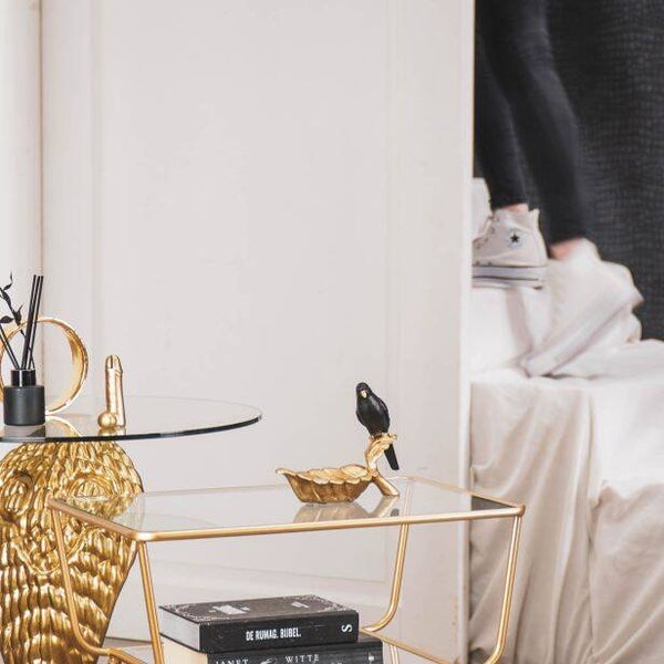 Gouden schaaltje met zwarte parkiet vogel