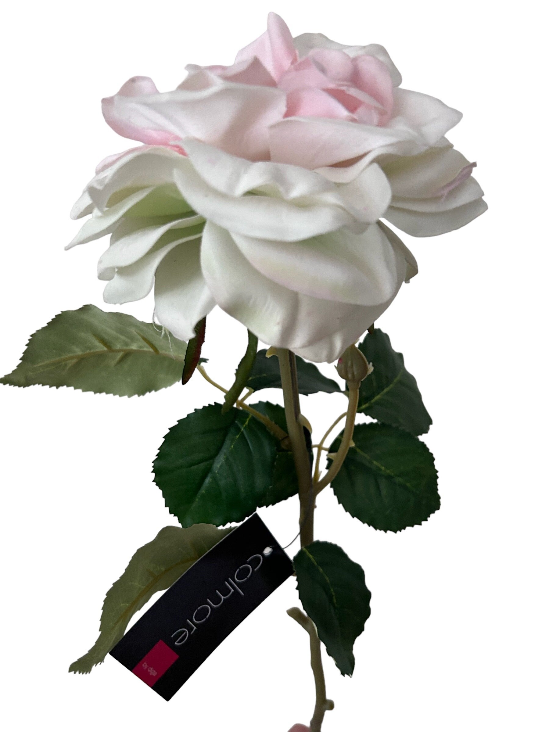 Zijdenbloem Colmore witte roos (72cm)