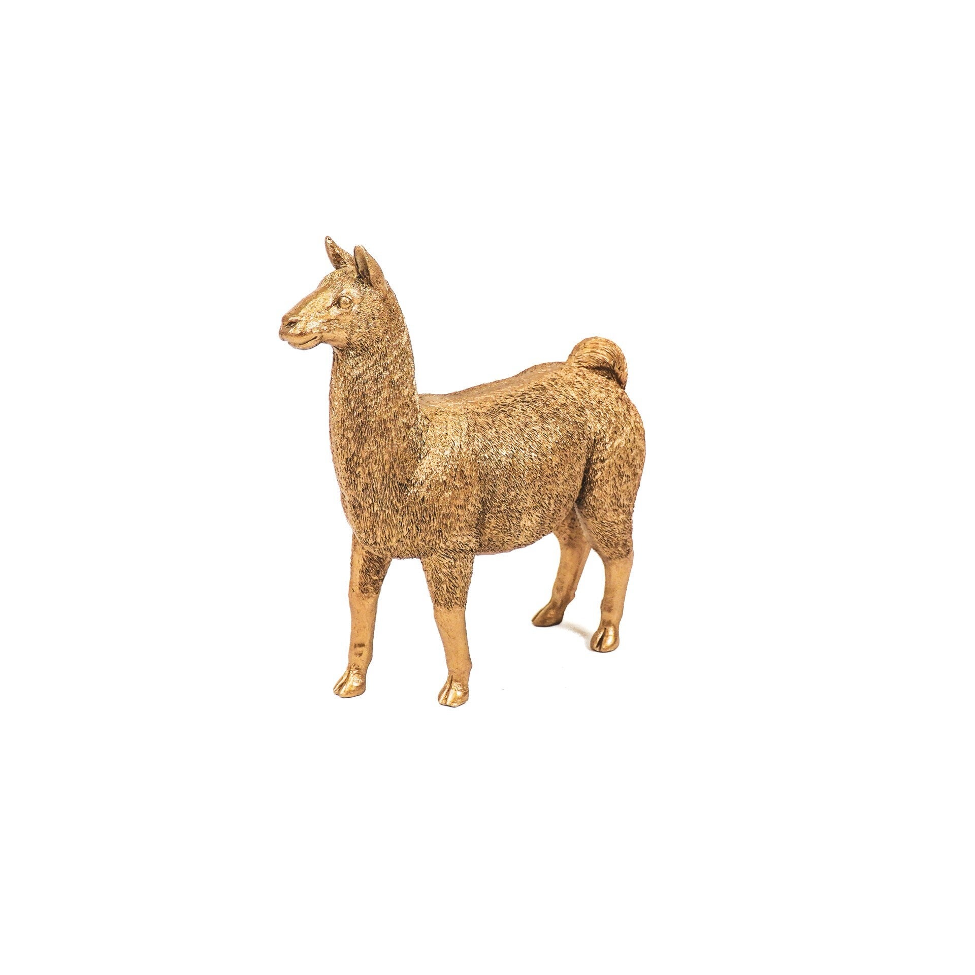 Beeld | Lama | Goud | Polyresin | Housevitamin | 19x7,5x22,5cm