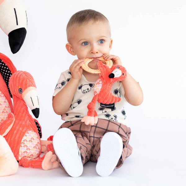 Kauwspeeltje flamingo