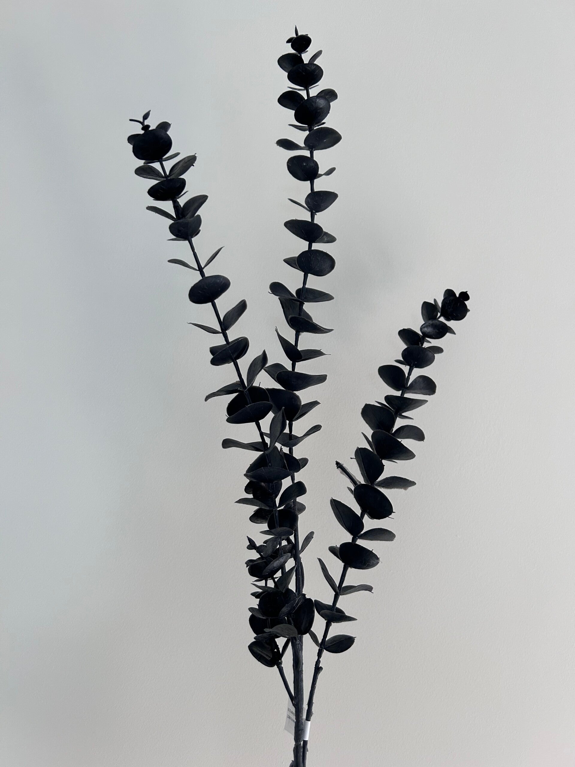 Kunstbloem | Eucalyptus | Zwart | 82cm