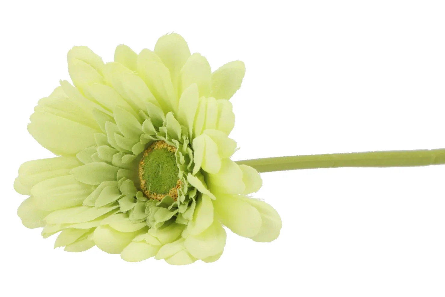 Kunstbloem | Gerbera | Lichtgroen | 72cm