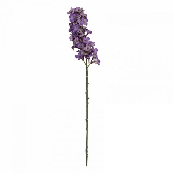 Zijdenbloem Colmore paars (78 cm)