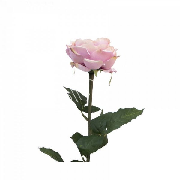 Zijdenbloem | Kunstbloem | Roos | Roze | Colmore | 70cm
