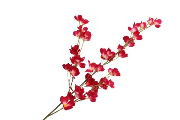 Zijdenbloemen | Wolfberry | Donkerroze | 106cm