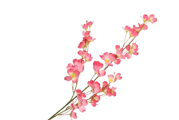 Zijdenbloemen | Wolfberry | Roze | 106cm