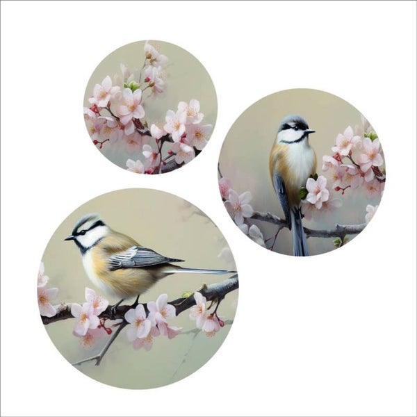 Muurcirkel | Set van drie muurcirkels | Vogels | Koolmees | Forex | 30cm/25cm/20cm