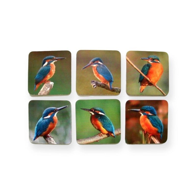 Onderzetters ijsvogel