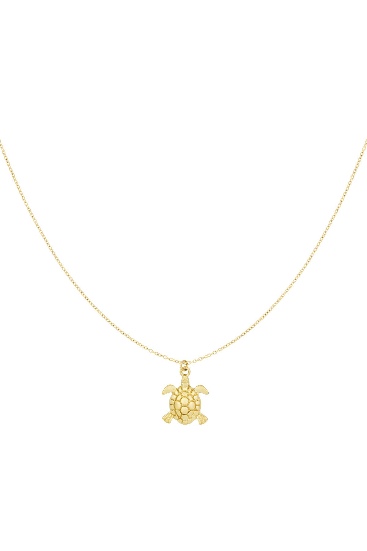 Ocean Guardian Ketting – Goudkleurige Ketting met Schildpad Hanger