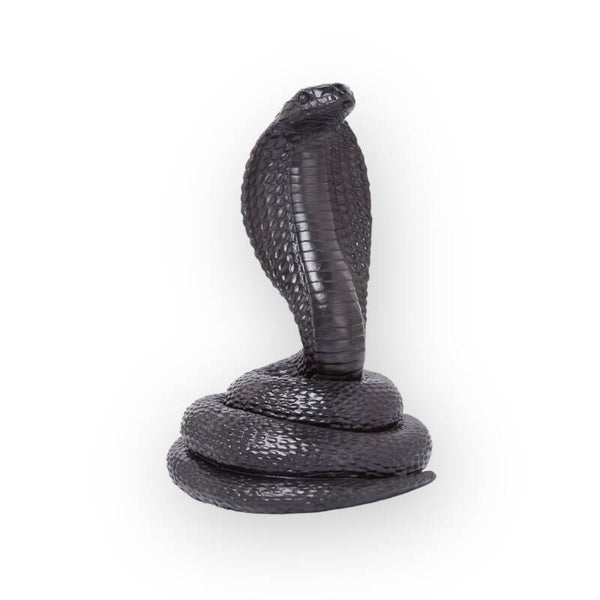 Spaarpot slang / cobra zwart