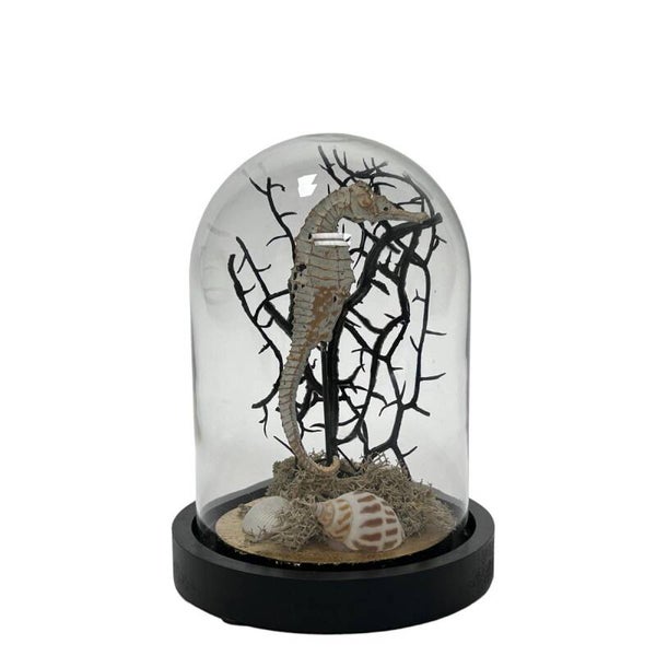 Stolp | Zeepaard | Glas | Hout | 12x12x17cm