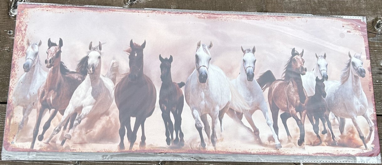 Wandplaat | Paard | Paarden | Metaal | 50x20cm