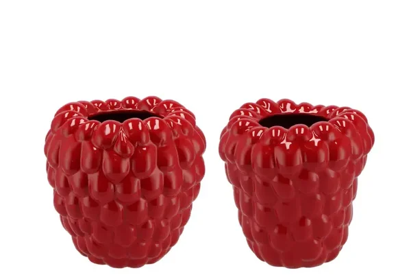 Vaas | Raspberry | Framboos | Rood | 19x19cm