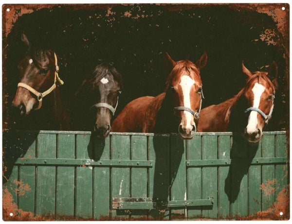Wandplaat paarden metaal
