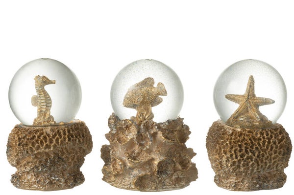 Waterbal zee groot (3 verschillende)