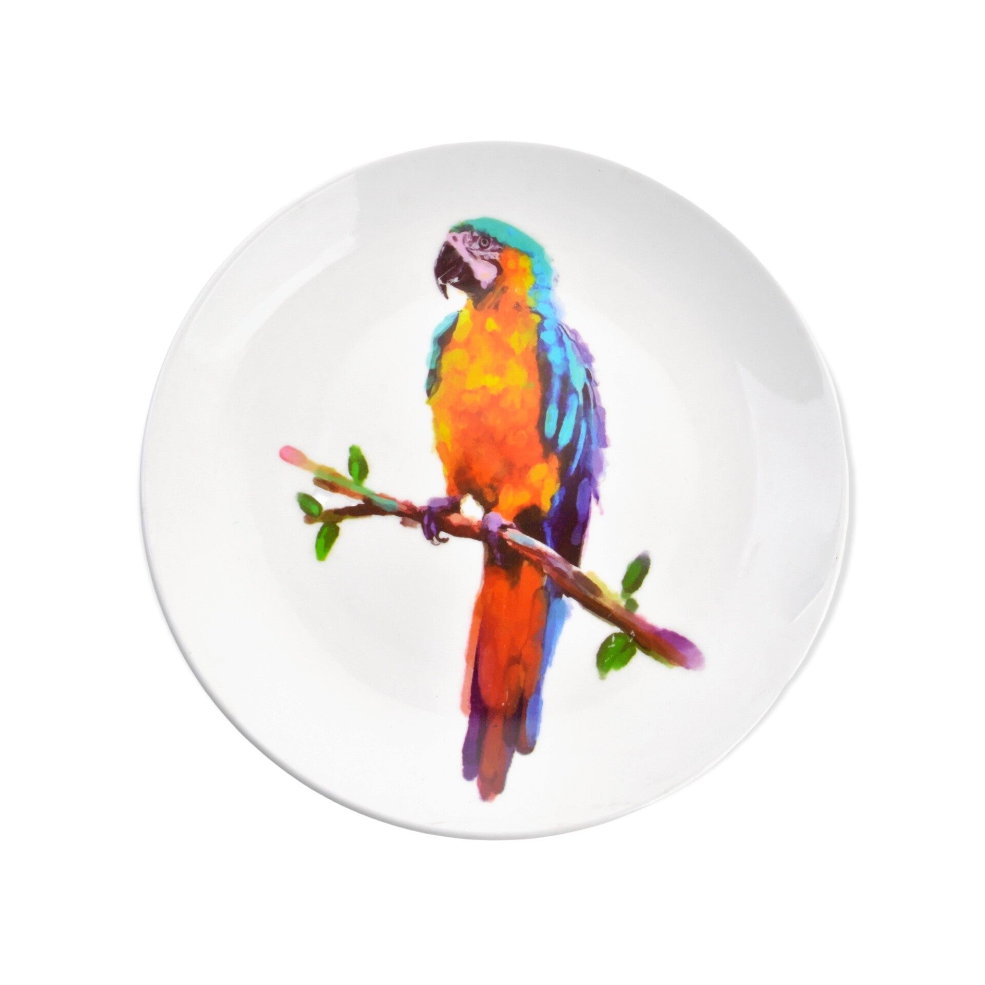 Decoratie (wand) bord met kleurrijke papegaai