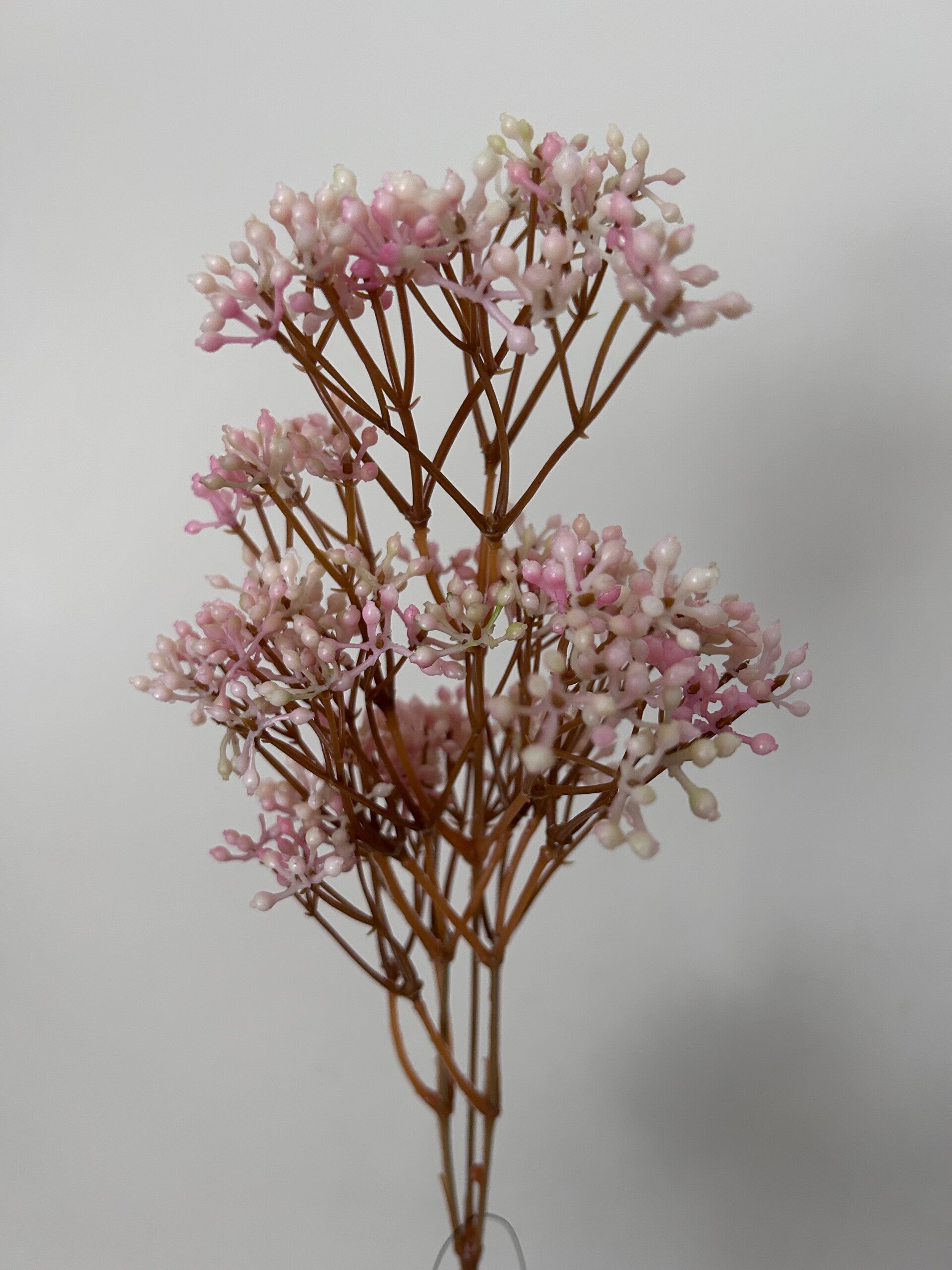 Zijdenbloem roze gipskruid (66cm)