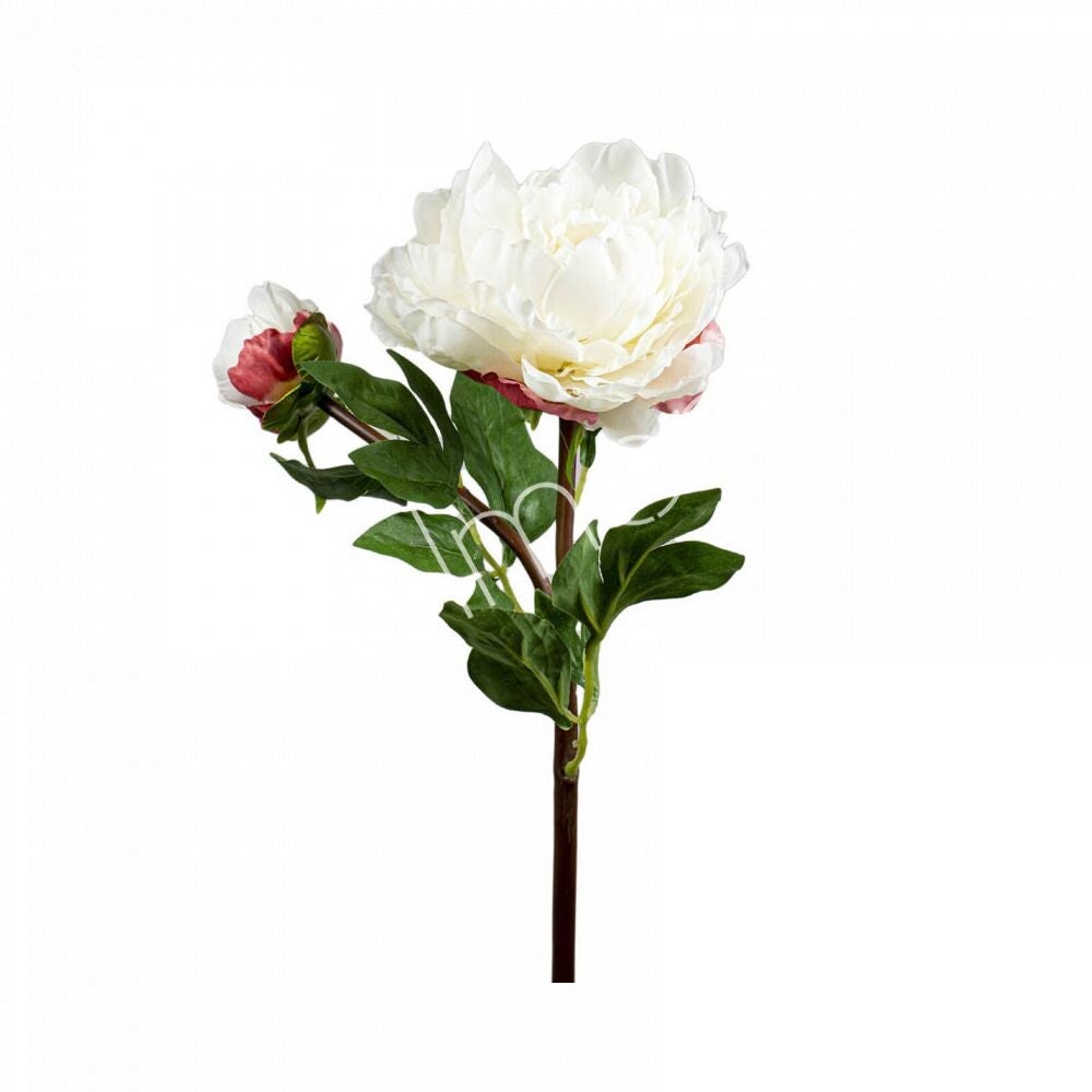 Zijdenbloem Colmore witte pioenroos (54cm)