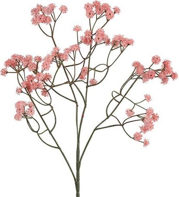 Zijdenbloem roze gipskruid