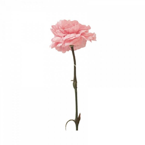 Zijdenbloem | Kunstbloem | Anjer | Roze | Colmore | 60cm