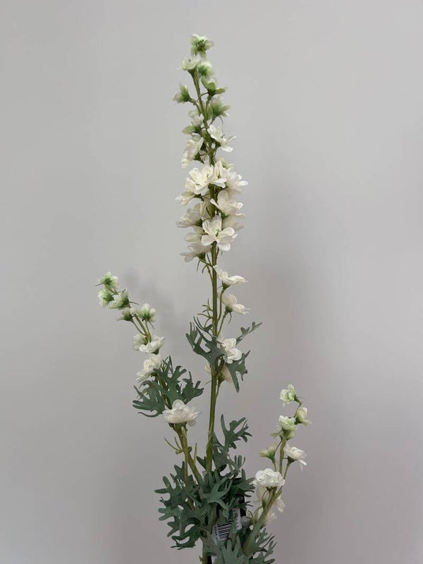 Zijdenbloem | Delphinium | Wit | Colmore | 82cm