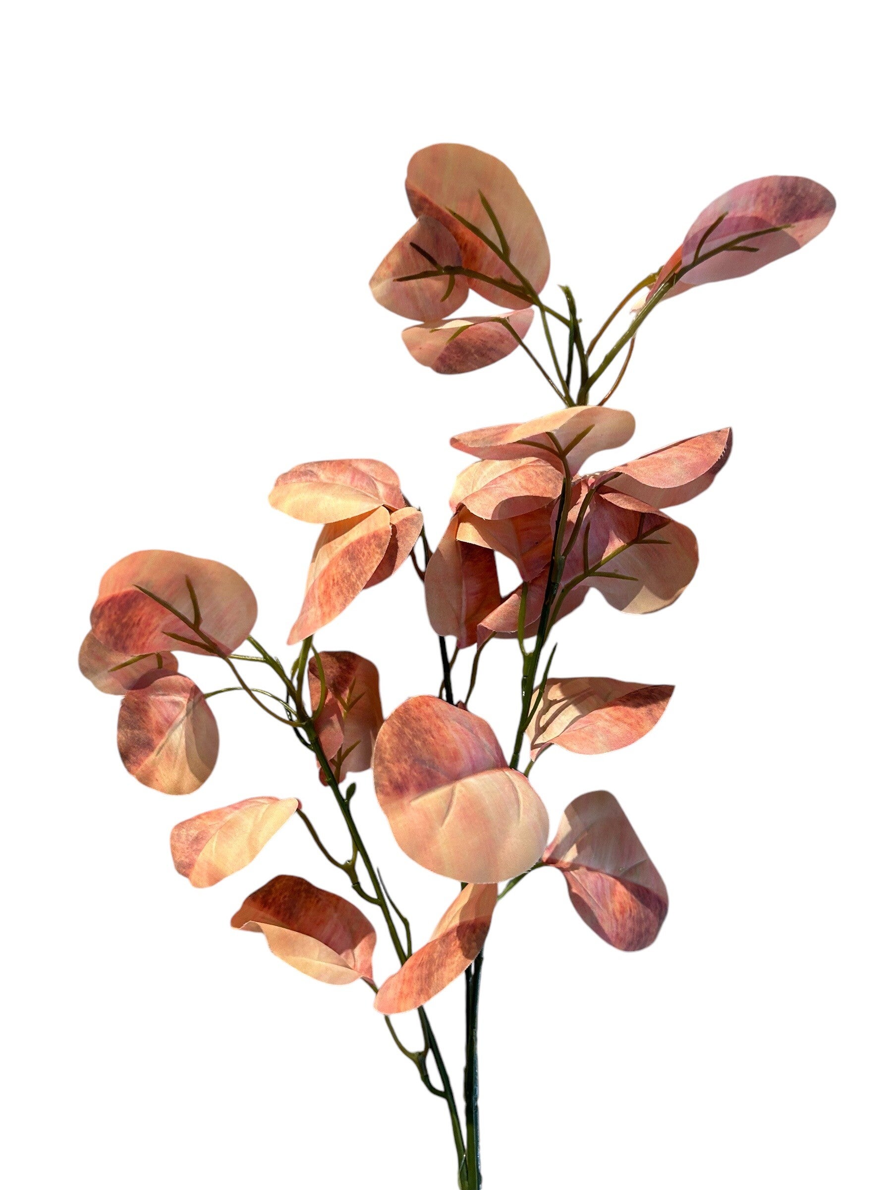 Zijdenbloem | Kunstbloem | Eucalyptus | Zalm | 65cm